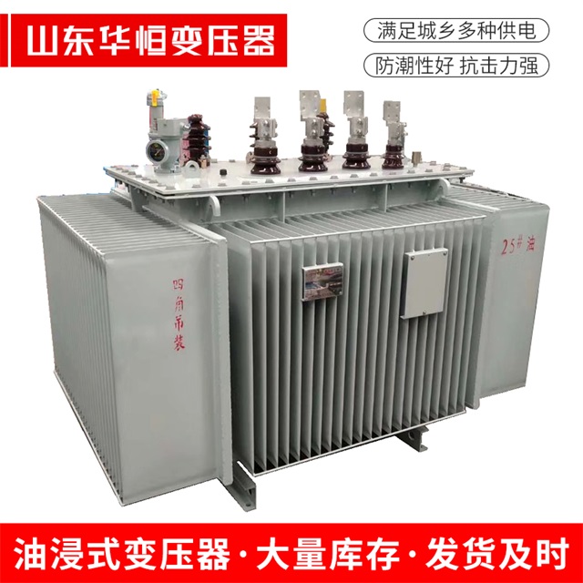 S13-10000/35揭东揭东揭东电力变压器厂家