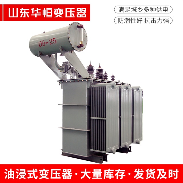 S11-10000/35揭东揭东揭东电力变压器厂家