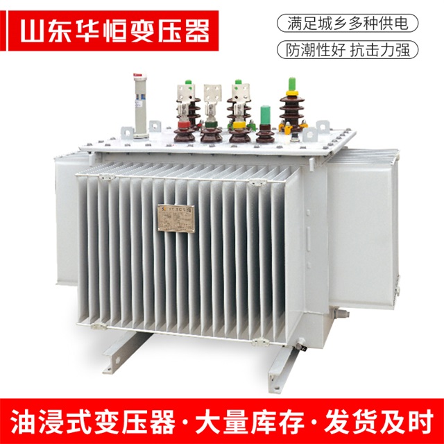 S13-10000/35揭东揭东揭东电力变压器