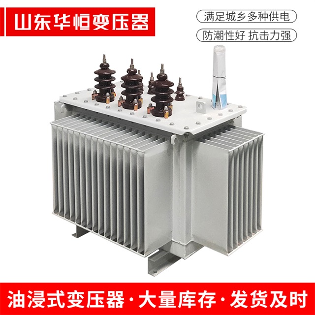 S13-10000/35揭东揭东揭东油浸式变压器厂家